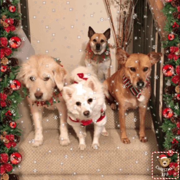 Meet your Posher, Kelly - Picture 3 of 9